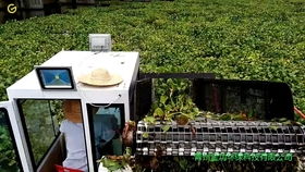 水面清道夫 全自動垃圾打撈船在景區(qū)水域的革新應(yīng)用